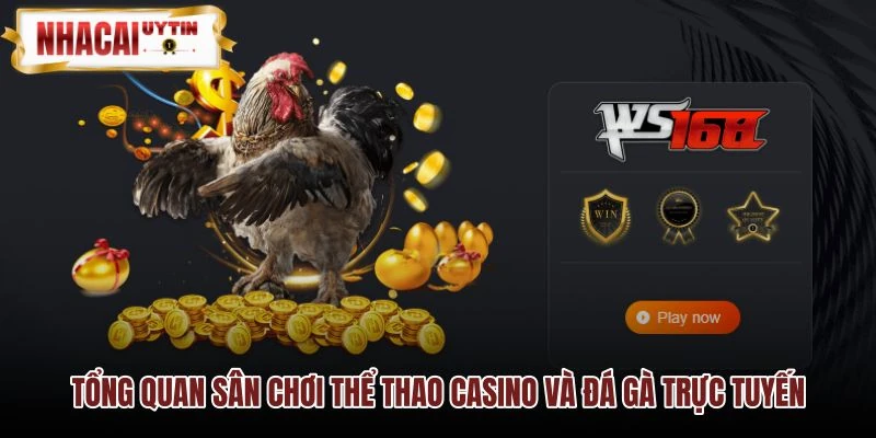Tình trạng kết nối